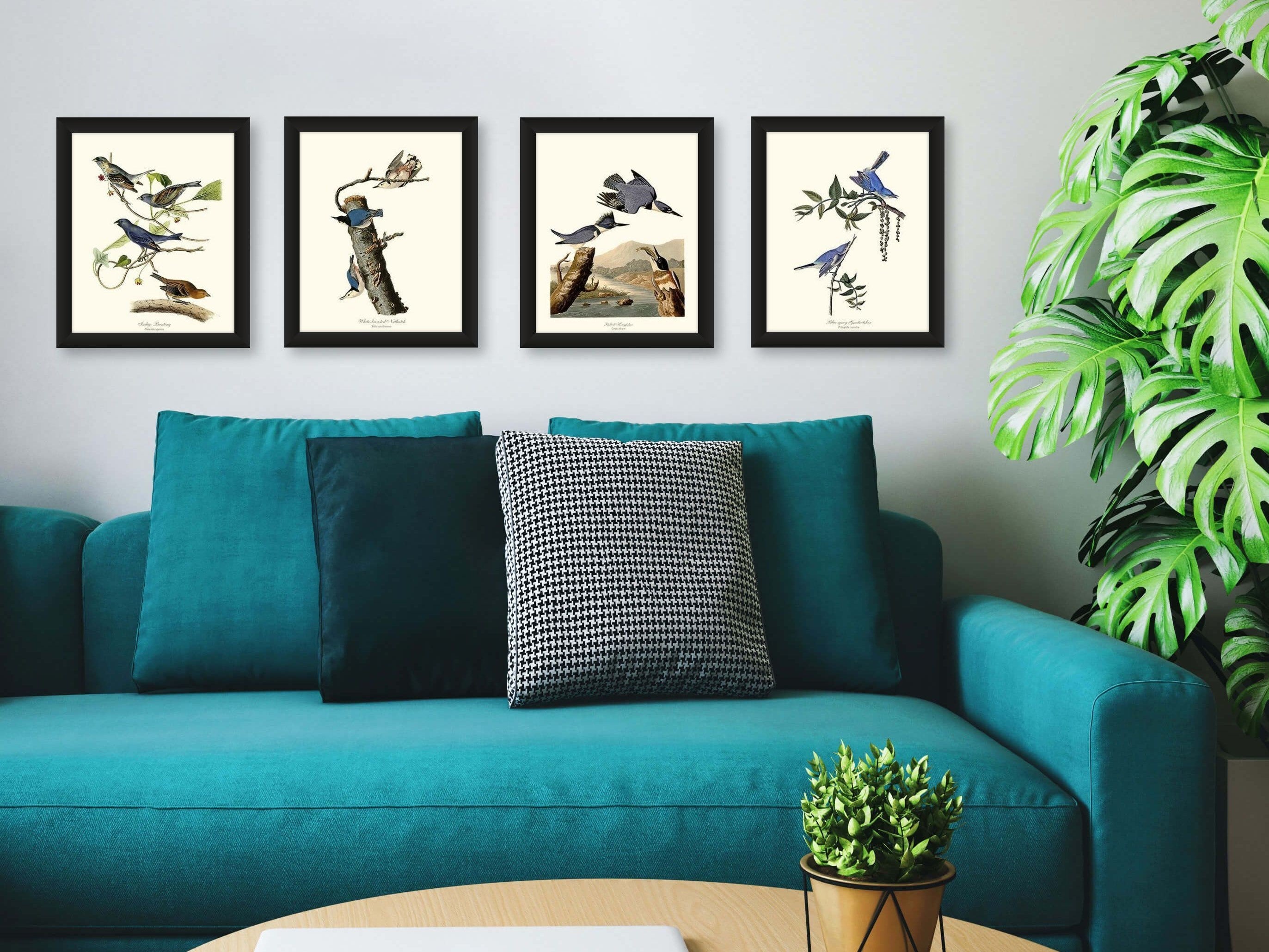 Beautifully Restored Vintage Audubon Bird Print - Unique Wall Decor for  Nature Lovers. Fine Art Print. 11x17, 16x24, 20x30 or 24x36