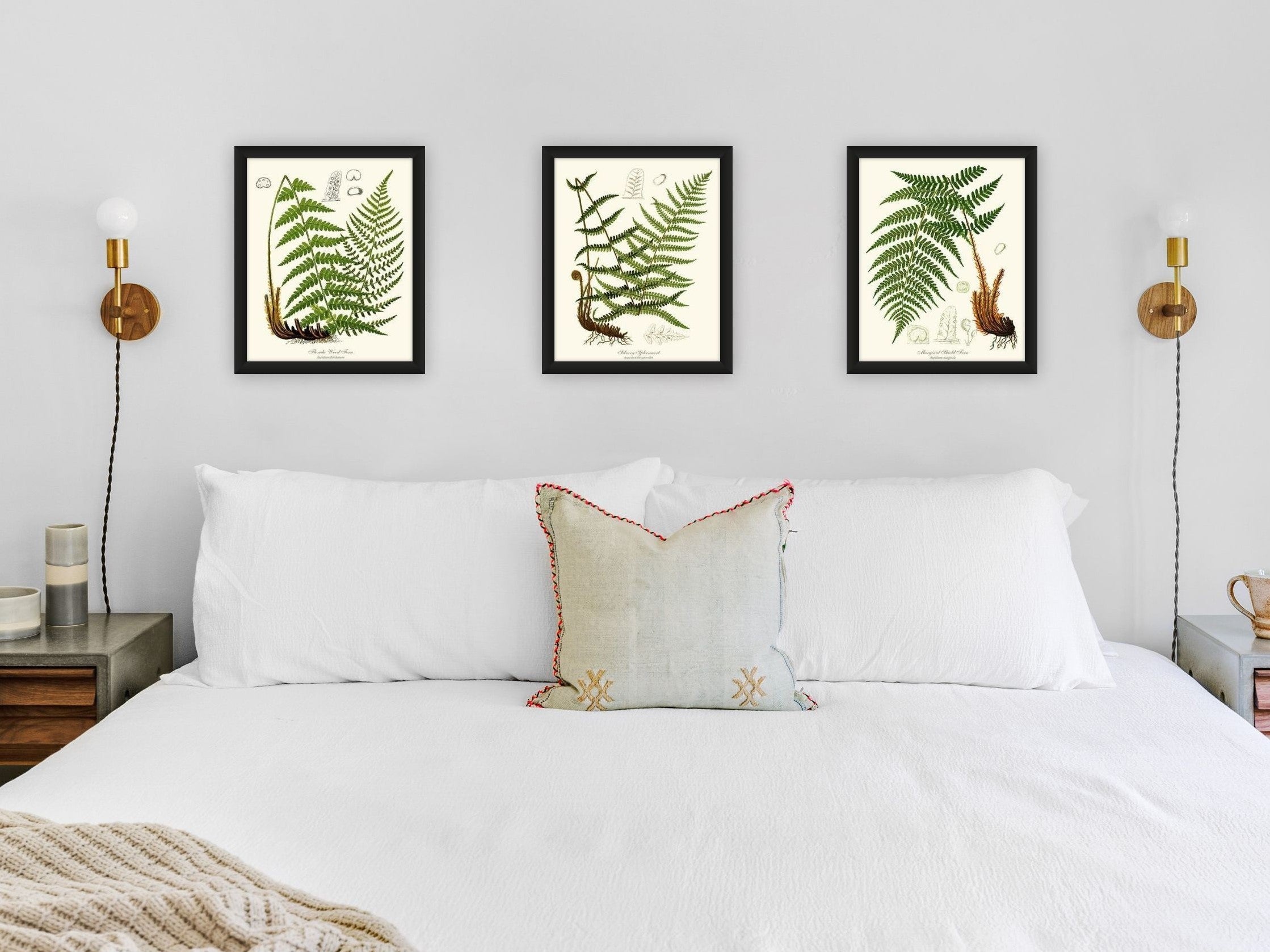 – Print Framed, Nature Charting Botanical Sets, Unframed