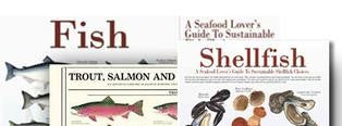 Sustainable Fish Guide - Charting Nature