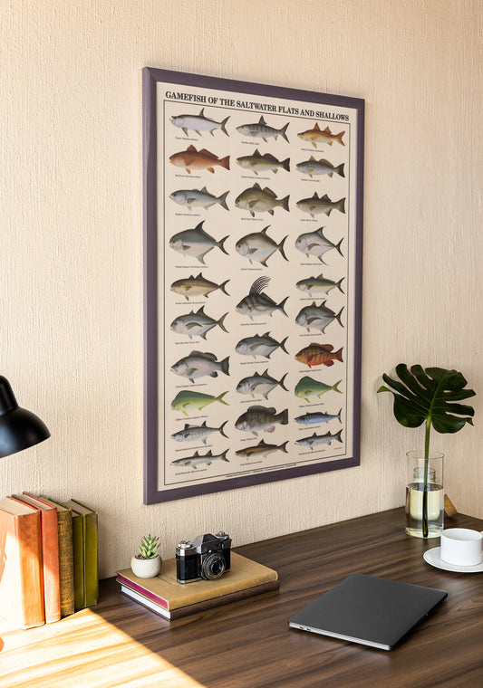 Saltwater Gamefish Identification Poster. Fisherman Wall Art Print.