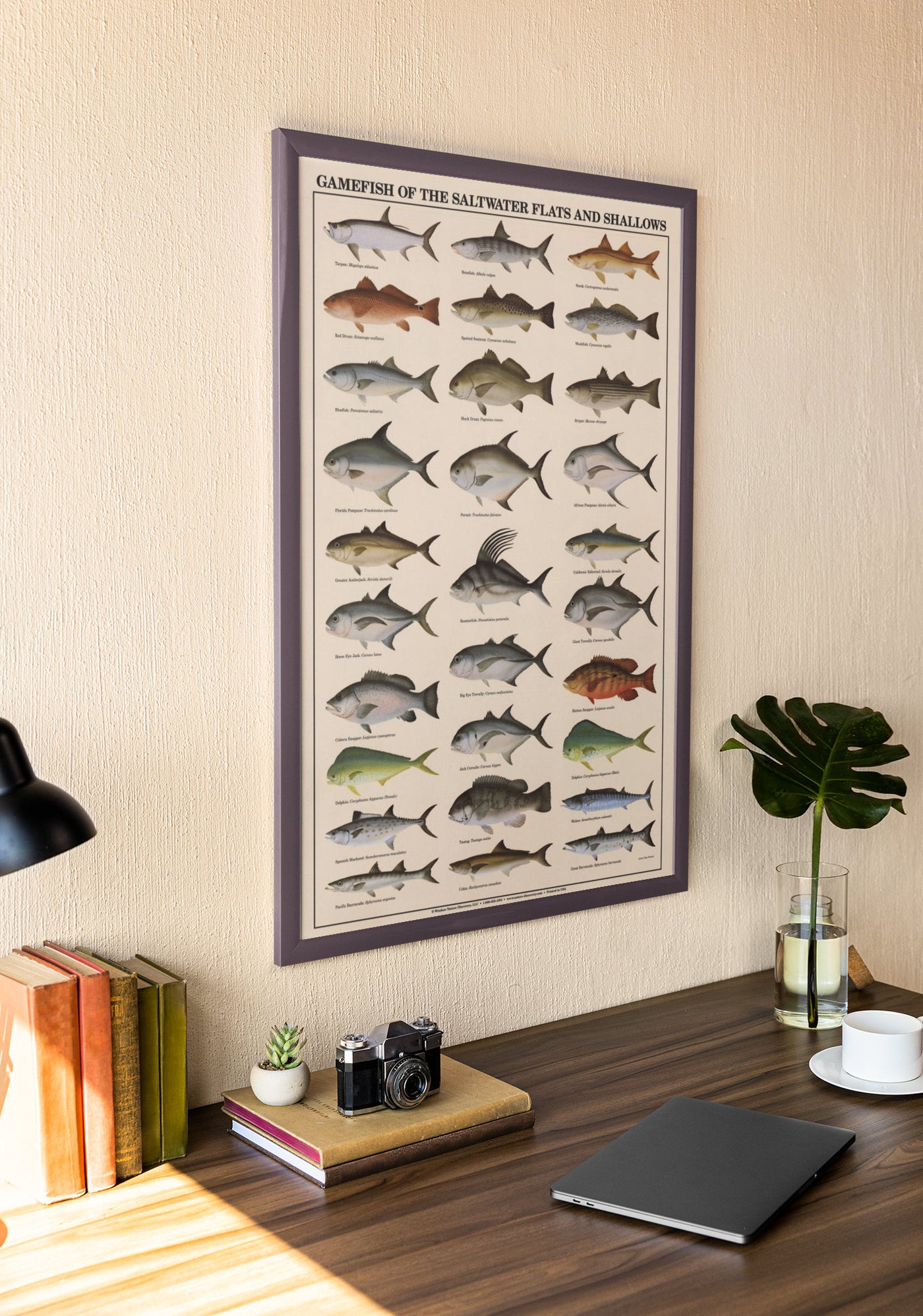 Illustrated Salmon Fly Fishing Game Fish Identification Chart Hand & Bath  Towel by Atlantic Coast Arts and Paintings