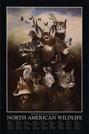 North American Wildlife Posters