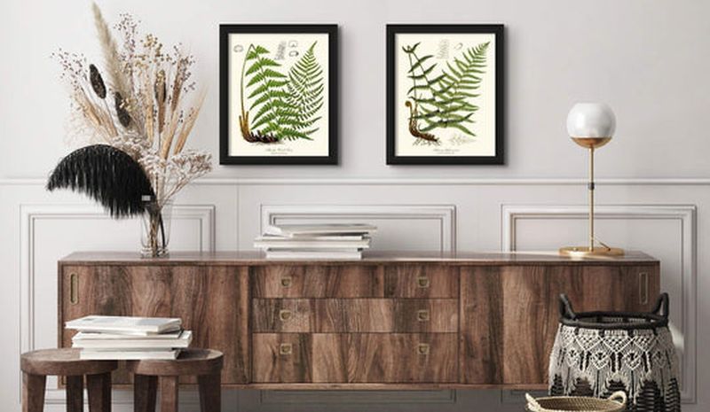 Vintage European Fern Print Set Botanical Wall Art Print Decor