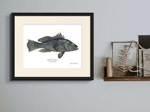 Fish & Shellfish Art