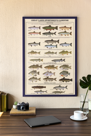 Great Lakes Sportsmen' Gamefish Poster