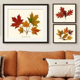 Autumn Leaves Set | Vintage Tree Leaf Art Print