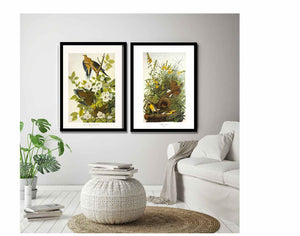 Audubon's Wildbird Wall Art