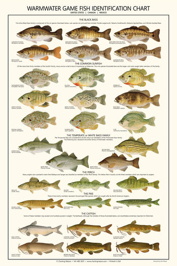 Fish Posters and Identification Charts | Freshwater and Saltwater Fish ...