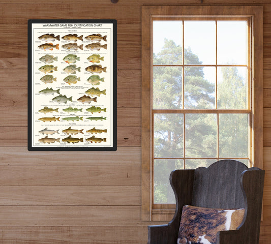 Fish Poster | Warmwater Gamefish Identification Chart. A gamefish fisherman's reference guide.