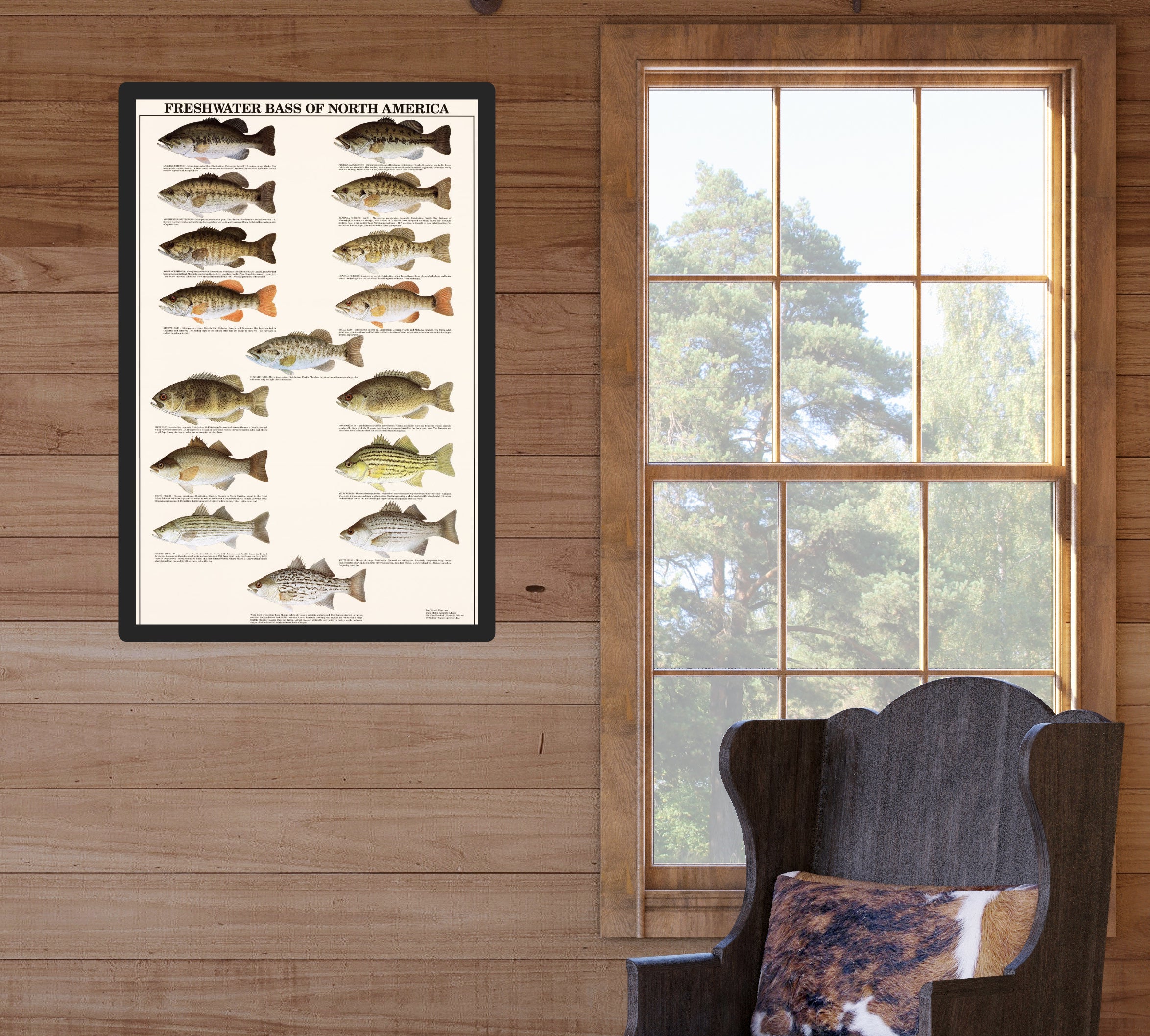 Freshwater Fishing: Bass Collage Ideal Men's Gift & Fishing Wall