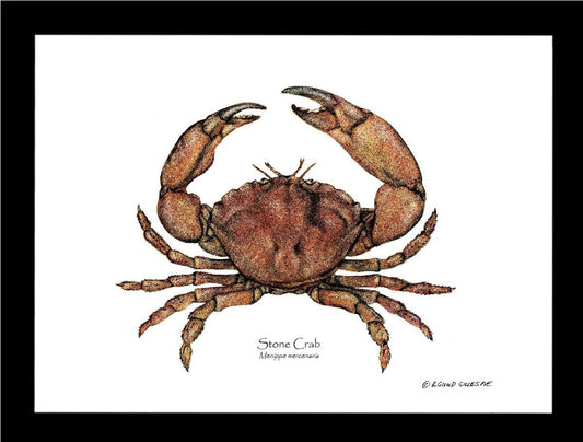 Crab, Stone | Wall Art Shellfish Print