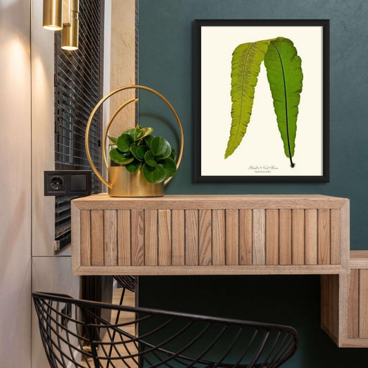 Bird's Nest Fern Botanical Wall Art Print-Charting Nature