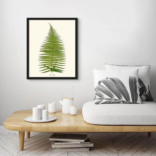 Brainea Insignis Botanical Wall Art Print-Charting Nature