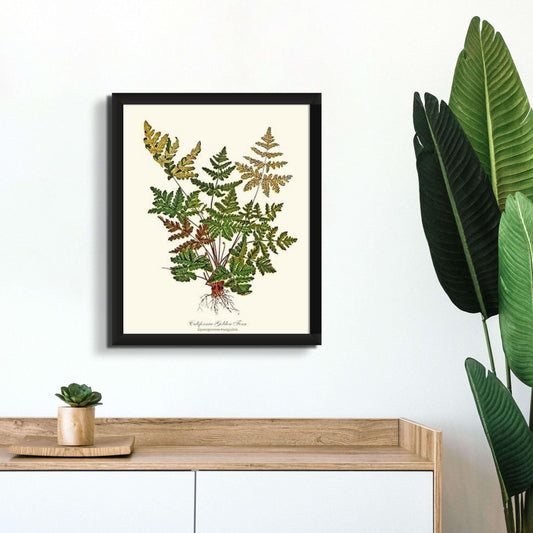 California Gold Fern Botanical Wall Art Print-Charting Nature