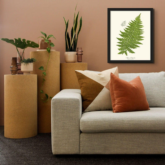 Alpine Fern Botanical Wall Art Print-Charting Nature