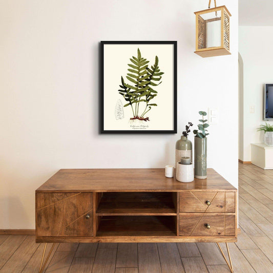 California Polypody Fern Botanical Wall Art Print-Charting Nature