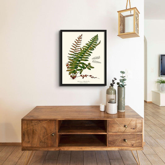 Christmas Shield Fern Botanical Wall Art Print-Charting Nature