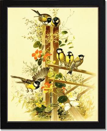 Great Tits Parus major | Victorian Wall Art Print