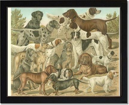 Victorian Print: Antique Dogs | Victorian Wall Art Print