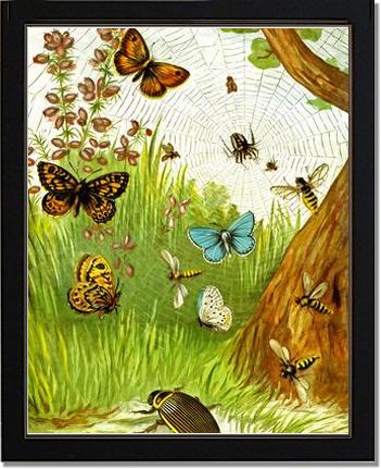 Butterflies | Victorian Wall Art Print