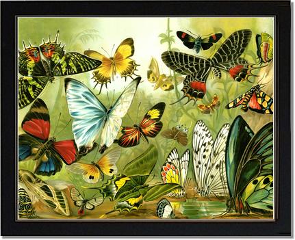 Butterflies | Victorian Wall Art Print