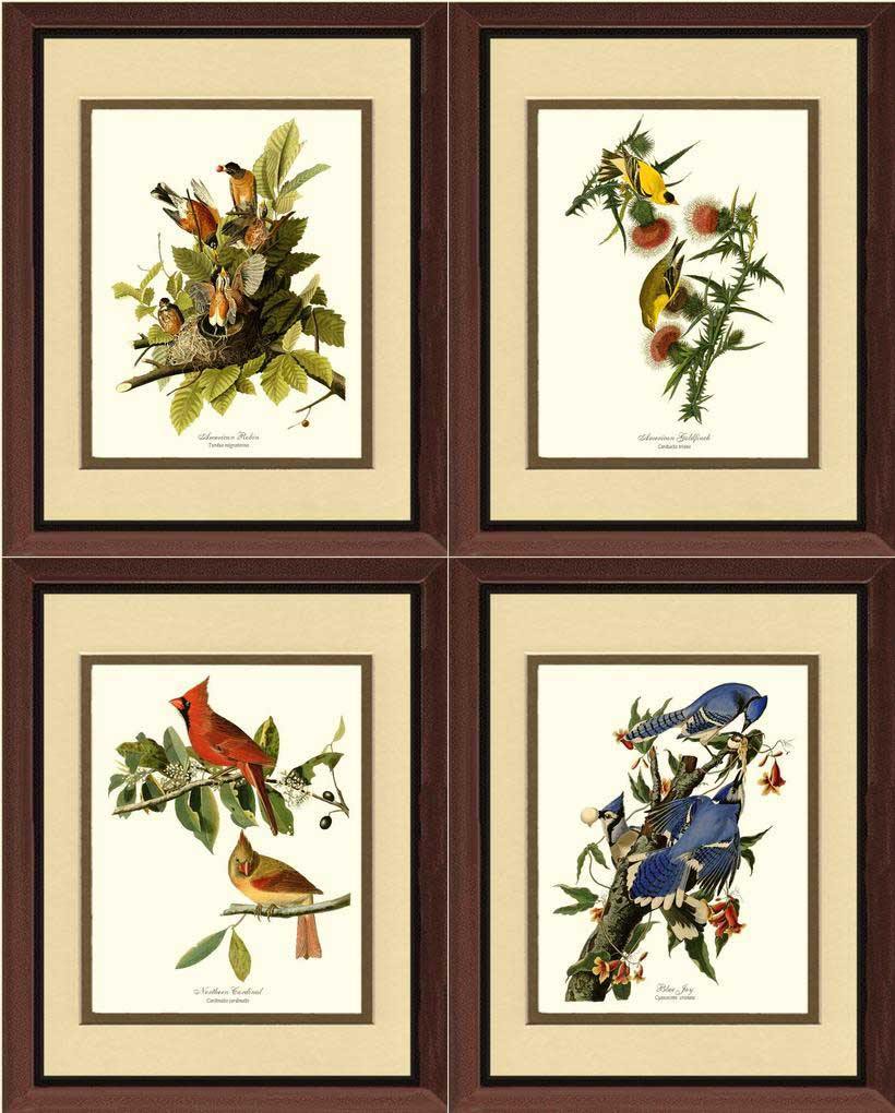 Audubon Matching Set of 4 Bird Prints - Charting Nature