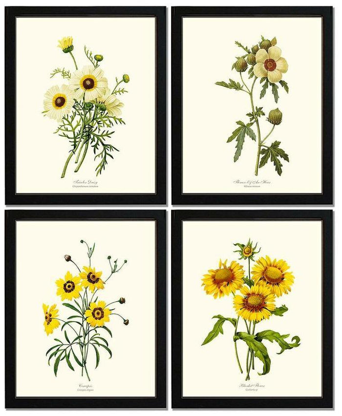 Yellow Flower Print Set | Flower/Floral Art Print