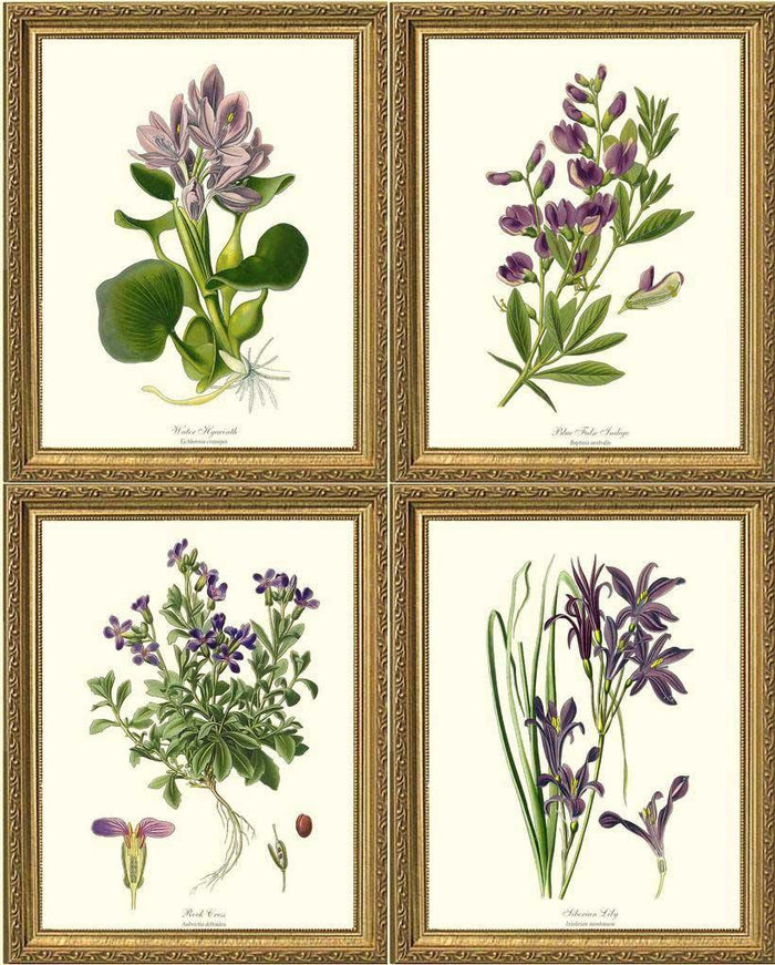 Lavender Flower Botanical Print Set | Flower/Floral Art Print