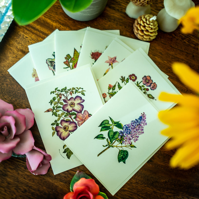 Classic Flower Notecards - Botanical print notecard set – Charting Nature