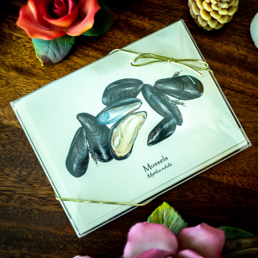 Pacific Intertidal Life | Shellfish Note Card Set