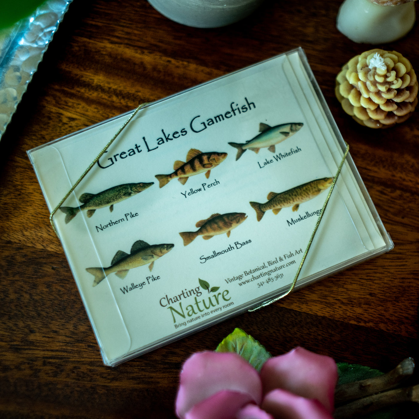 Fish Stock Recipe, A Magic Elixir — Meadowlark Journal