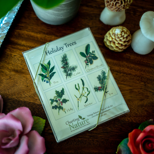 Holiday Trees | Vintage Botanical Note Card Set