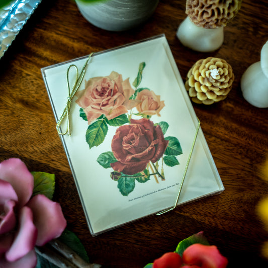 Mixed Roses | Vintage Botanical Note Card Set