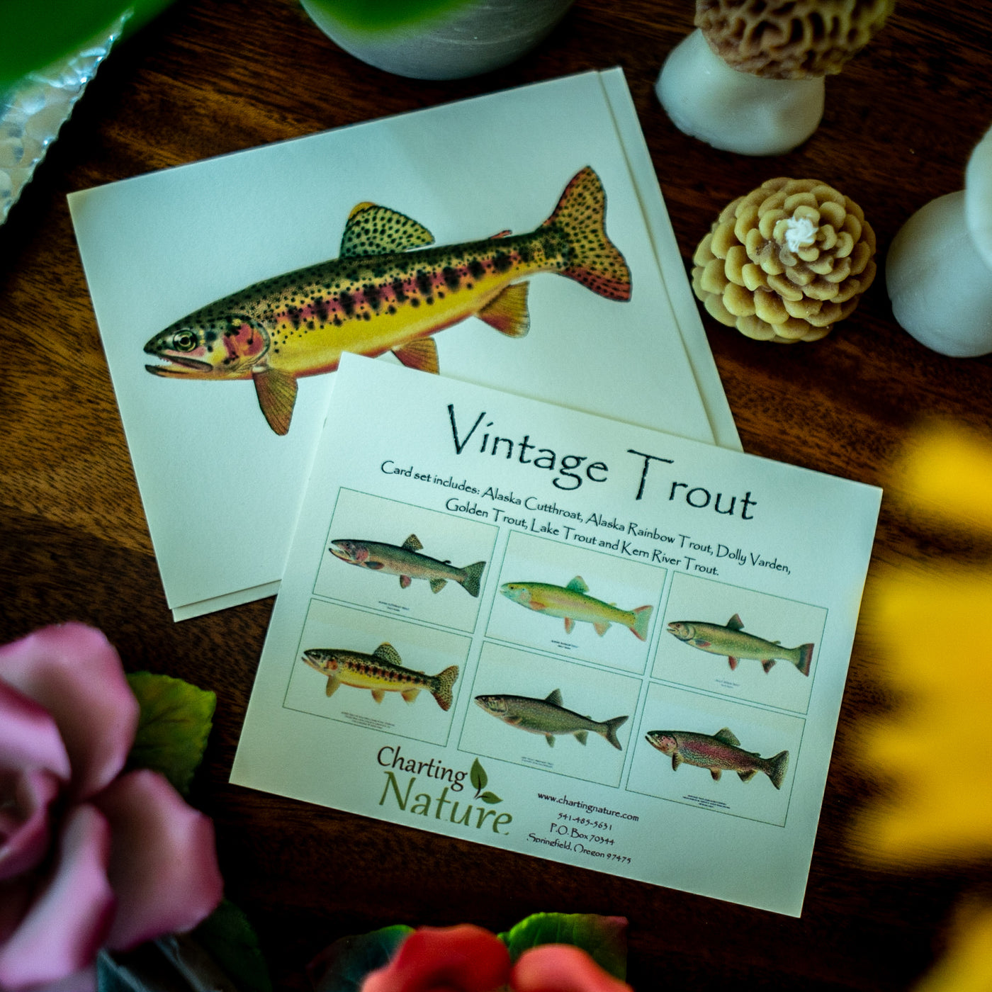 Vintage Trout Note Cards - Botanical print notecard set – Charting Nature