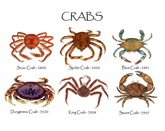 Crabs | Shellfish Notecard Set