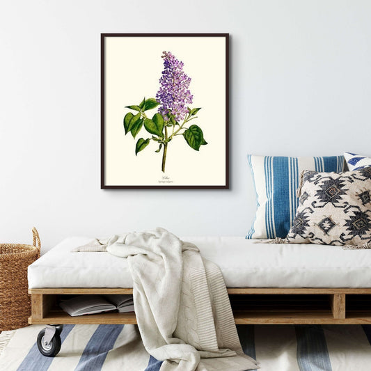 Lilac | Flower/Floral Art Print