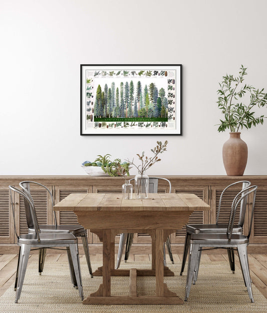 Tree Poster | Northwest Native Conifers