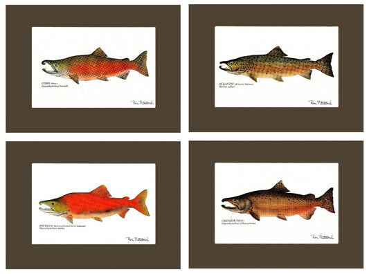 Salmon Print Set - Charting Nature