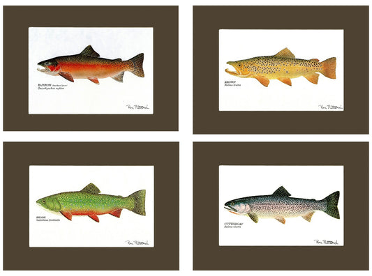 Trout Print Art Set - Charting Nature