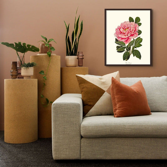 Peony, Tree | Flower/Floral Art Print